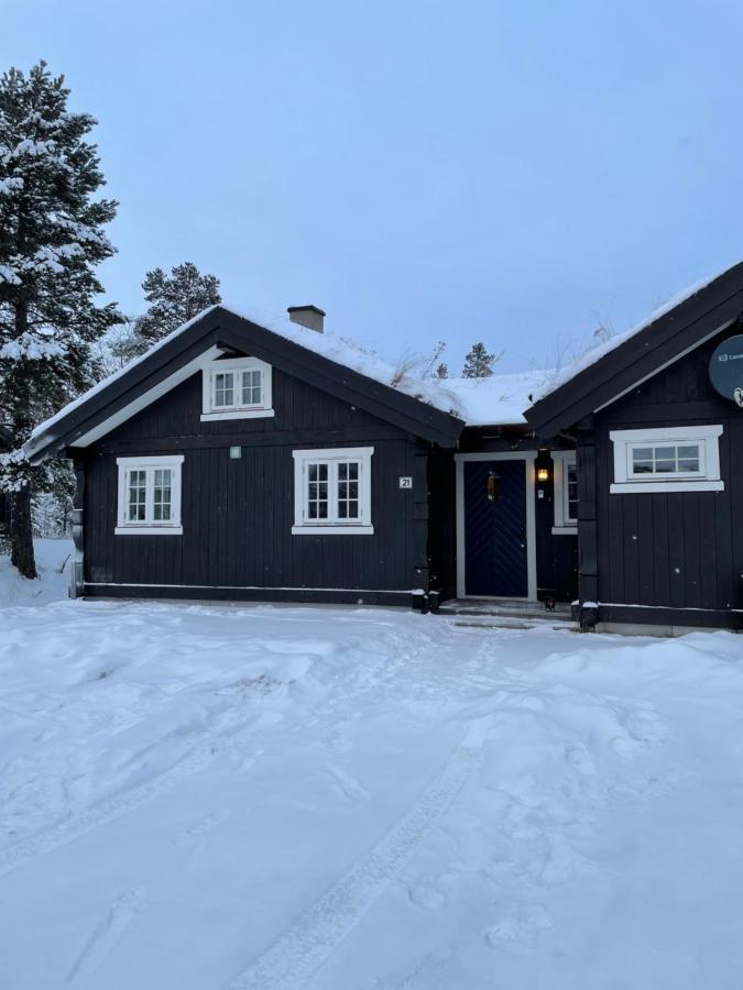 Hytte I Nydelige Jotunhemen - Rett Ved Besseggen Randsverk Exteriör bild